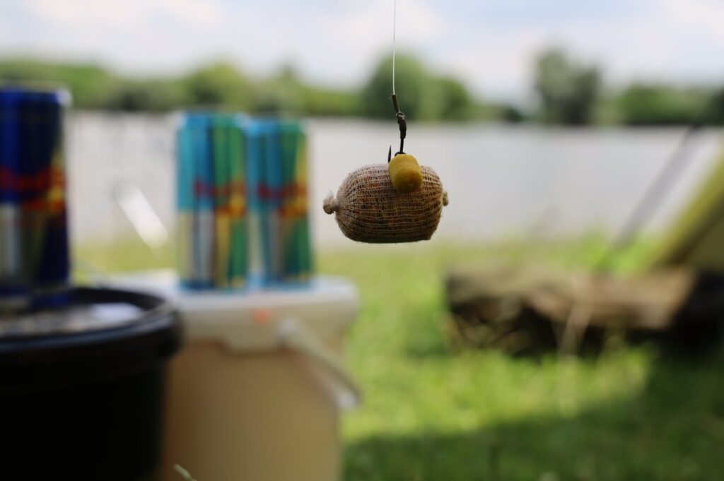 218270131_658923218383519_2757806404685156856_n